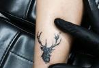 हिरण टैटू का अर्थ हिरण का क्या मतलब है?