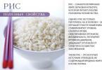 الأرز عبارة عن كربوهيدرات أو بروتين يحتوي على نسبة عالية من البروتين